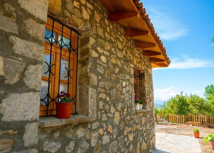 Pensjonat Babanu Nenshat